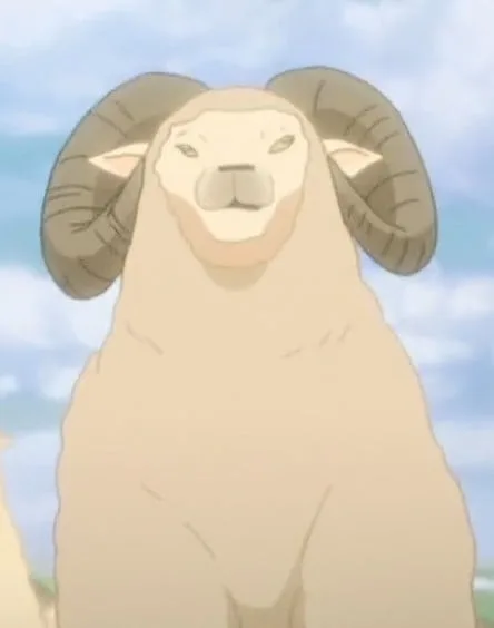 羊
