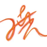 晓