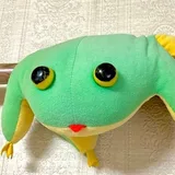 田中裕太