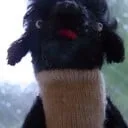 toi8