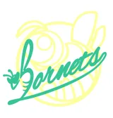 HORNETS