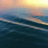 新八角